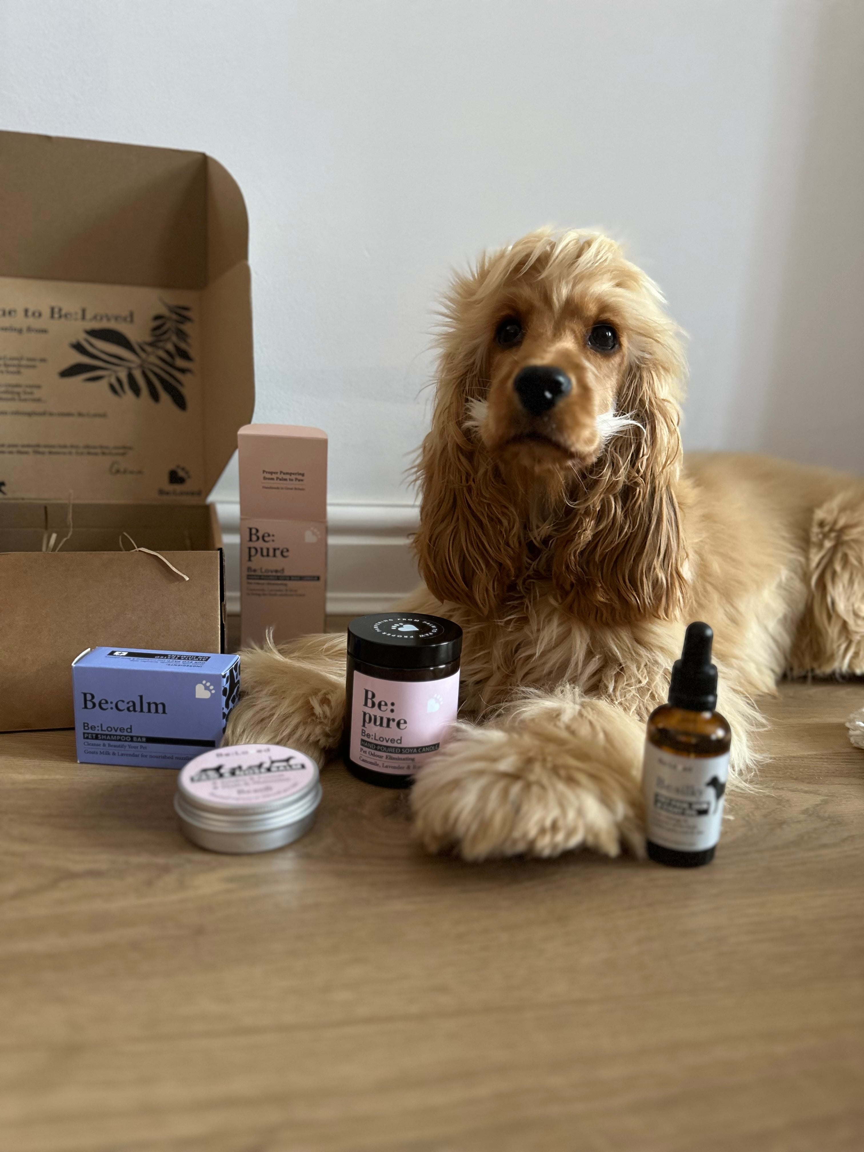 Pet Pamper Products