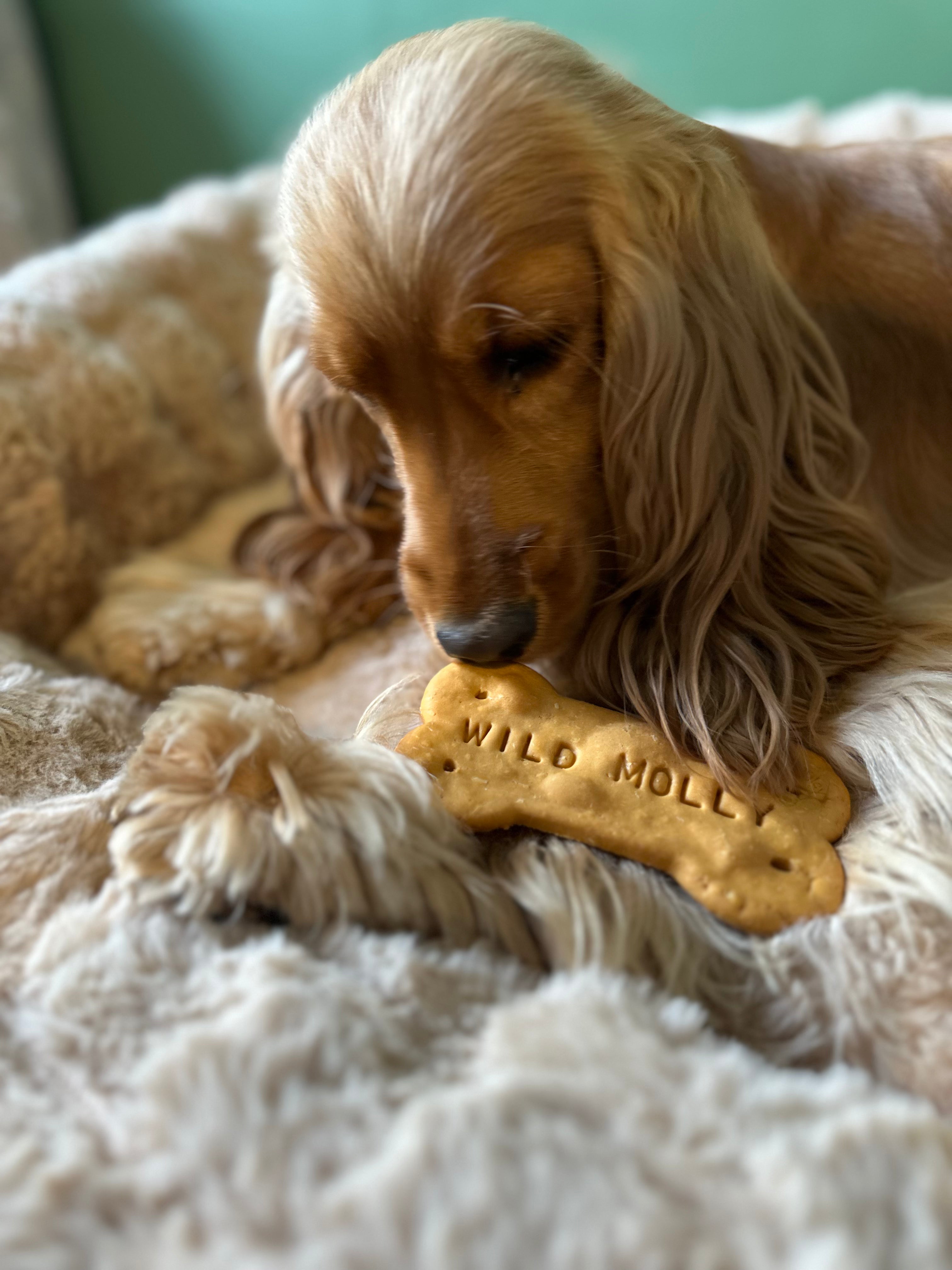 Calm Molly - A calm & enrichment box & guide to help your dog relax, naturally.
