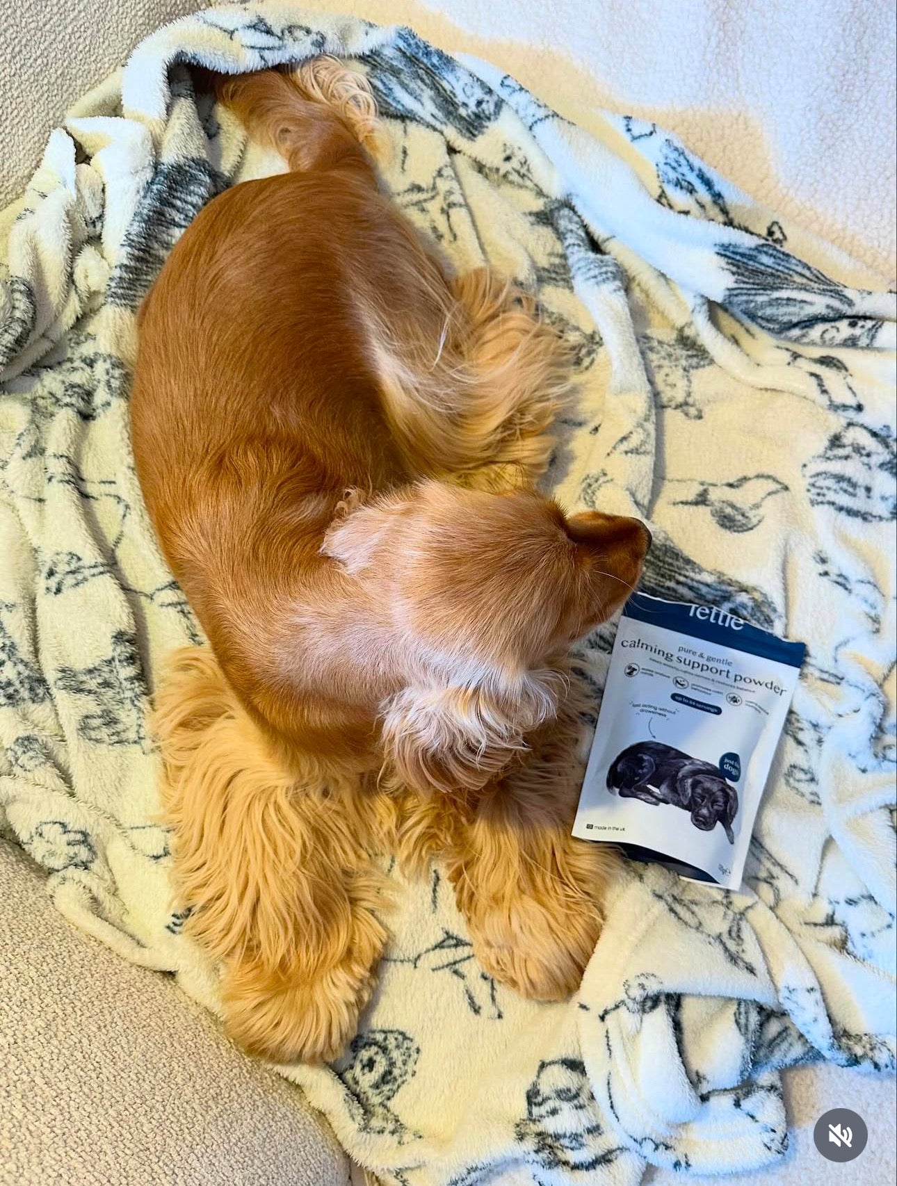 Relax & Unwind Dog Powder – Daily Anxiety Support